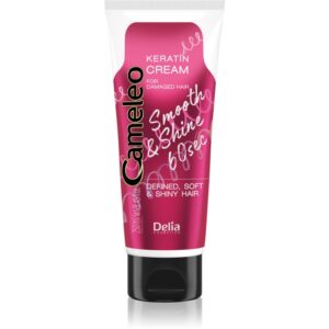 Delia Cosmetics Cameleo Smooth & Shine 60 sec krém na vlasy na lesk a hebkosť vlasov 250 ml