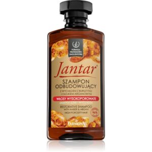 Farmona Jantar High Porosity Hair vyživujúci šampón na lesk a hebkosť vlasov 330 ml