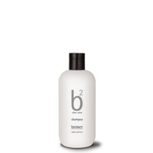 Broaer b2 silver color - šampón na šedivé a melírované vlasy 250 ml